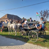 szuret2023_37_20231017